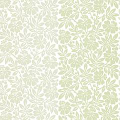 0286CTORCHA, Painted Papers, Little Greene